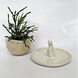Inspired Plate Workshop (at Parkland Green, East Coast)